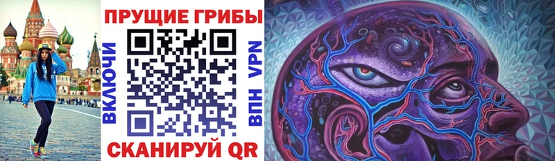 даркнет клад  Чусовой  Галлюциногенные грибы Psilocybe 