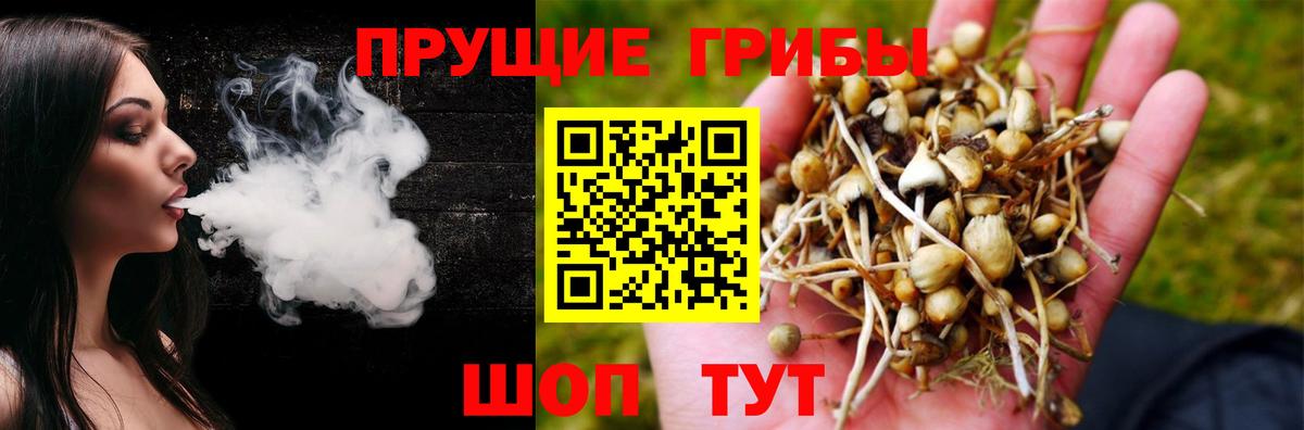 Чусовой  сколько стоит  Вход с VPN  Галлюциногенные грибы GOLDEN TEACHER 